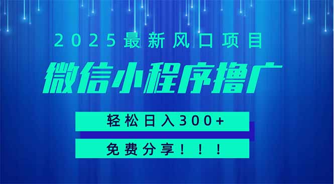 微信小程序撸广，最新风口项目，日入300+ 免费分享 可批量操作 小白可...-hcnxn