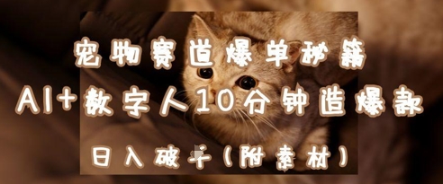 宠物赛道爆单秘籍：AI+数字人10分钟造爆款，日入1k-hcnxn