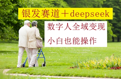 银发赛道+deepseek数字人全域变现，小白也能操作-hcnxn