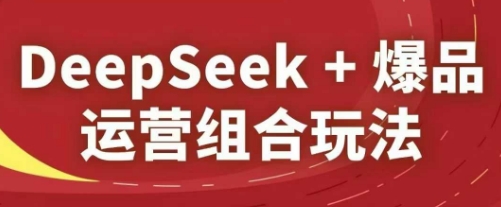DeepSeek+爆品运营组合玩法，2025淘系精品课-hcnxn