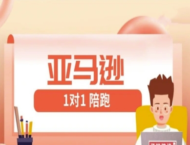 亚马逊1对1陪跑课(FBA/FBM精铺)跨境亚马逊教程-hcnxn