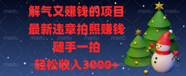 解气又挣钱的项目，最新违章拍照挣钱，随手一拍，轻松收入数张【揭秘】-hcnxn