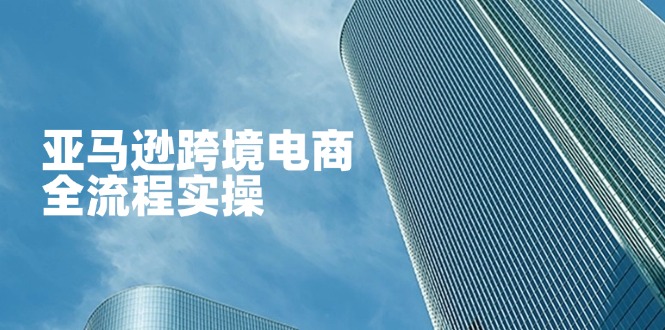 亚马逊跨境电商全流程实操，教你从零开始，掌握店铺运营与广告技巧-hcnxn