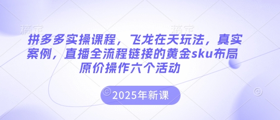 拼多多实操课程，飞龙在天玩法，真实案例，直播全流程链接的黄金sku布局原价操作六个活动-hcnxn