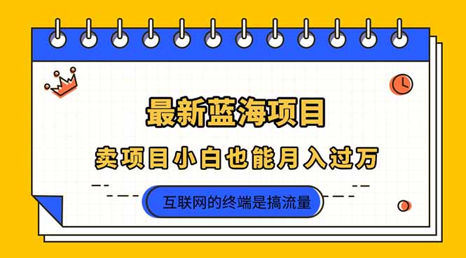 2025年最新蓝海项目，卖项目小白也能月入过万-hcnxn