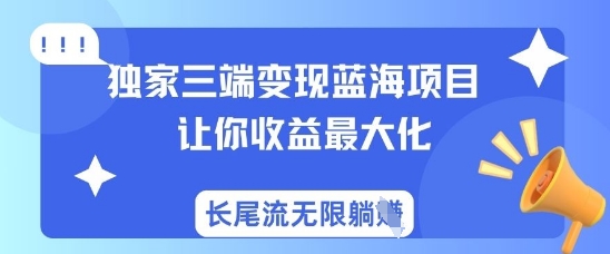 独家三端变现蓝海项目，让你收益最大化，长尾流无限躺挣-hcnxn