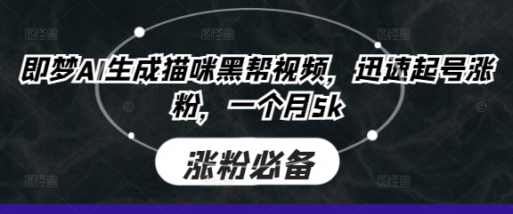 即梦AI生成猫咪黑帮视频，迅速起号涨粉，一个月5k-hcnxn
