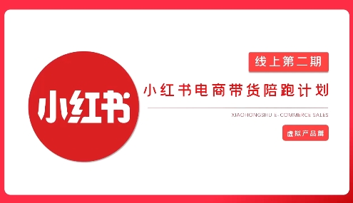 2025小红书虚拟电商实战课，从0到1打造无货源店铺，AI+爆款笔记轻松变现-hcnxn