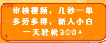 审核视频，几秒一单，多劳多得，新人小白一天轻松3张【揭秘】-hcnxn