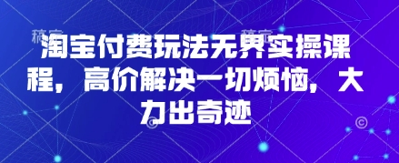 淘宝付费玩法无界实操课程，高价解决一切烦恼，大力出奇迹-hcnxn