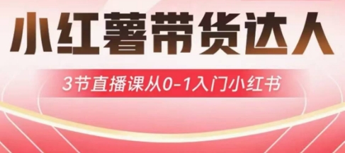 小红薯达人带货启航计划，3节直播课从0-1入门小红书-hcnxn
