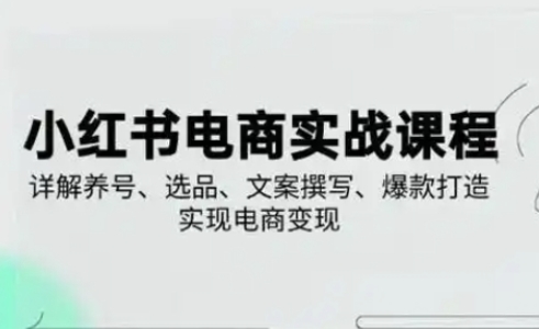 小红书从0-1实操课(2023-2025)，详解养号、选品、文案撰写、爆款打造实现电商变现-hcnxn