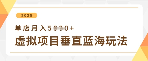 虚拟项目垂直玩法，实现单店月入5k+-hcnxn