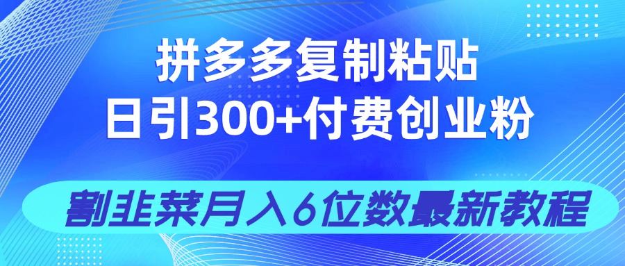 拼多多复制粘贴日引300+付费创业粉，割韭菜月入6位数最新教程！-hcnxn