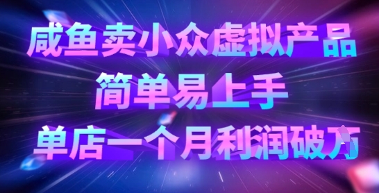 咸鱼卖小众虚拟产品，简单易上手，单店一个月利润破W-hcnxn