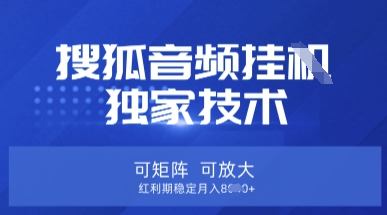 【搜狐音频挂G】独家技术，可矩阵可放大，红利期稳定月入8k【揭秘】-hcnxn