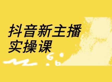抖音新主播实操课，直播间流量运营线上实操课(18节)-hcnxn