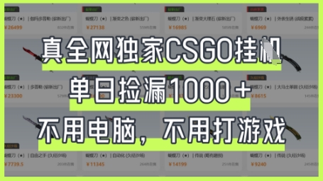 真全网独家CSGO挂G，单日捡漏1k+【揭秘】-hcnxn