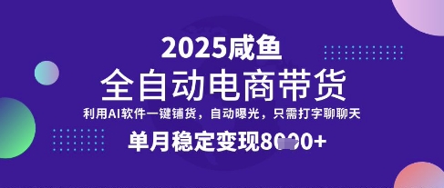 全网首发【闲鱼全自动电商带货】三年磨一剑，一朝露锋芒，单月稳定变现8k+【揭秘】-hcnxn
