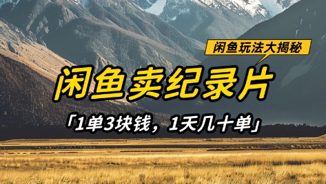 闲鱼卖纪录片1单3块钱，1天几十单，项目稳定有潜力-hcnxn