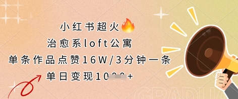 小红书超火的治愈系loft公寓，单条作品点赞16W，3分钟一条，单日变现数张-hcnxn
