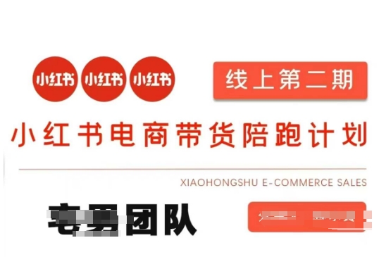小红书电商带货课2期，月利润20个的小红书电商的有货源，无货源，虚拟产品，付费投流等整套玩法-hcnxn