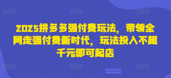 2025拼多多强付费玩法，带领全网走强付费新时代，玩法投入不超千元即可起店-hcnxn