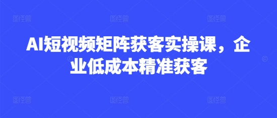 AI短视频矩阵获客实操课，企业低成本精准获客-hcnxn