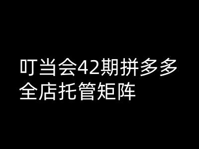 叮当会拼多多打爆班原创高阶技术第42期，拼多多全店托管矩阵-hcnxn