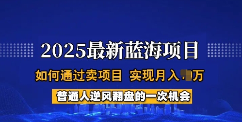 2025蓝海项目，普通人如何通过卖项目，实现月入过W，全过程【揭秘】-hcnxn