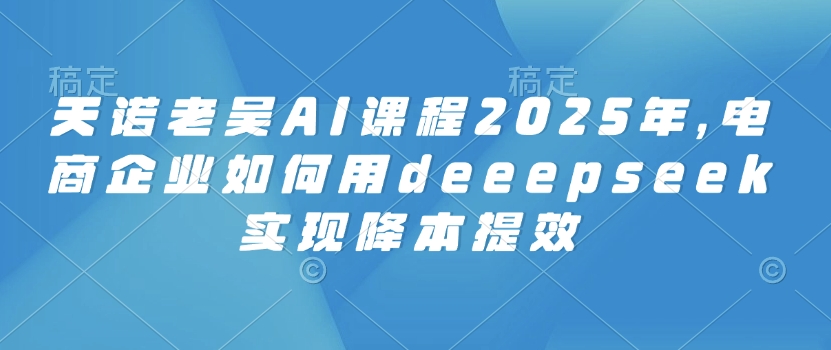 天诺老吴AI课程2025年，电商企业如何用deeepseek实现降本提效-hcnxn