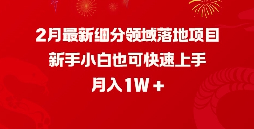 2月最新细分领域落地项目,新手小白也可快速上手,月入1W