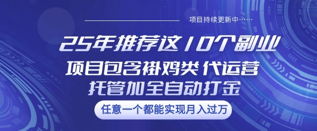 25年推荐这10个副业项目包含褂鸡类、代运营托管类、全自动打金类【揭秘】-hcnxn