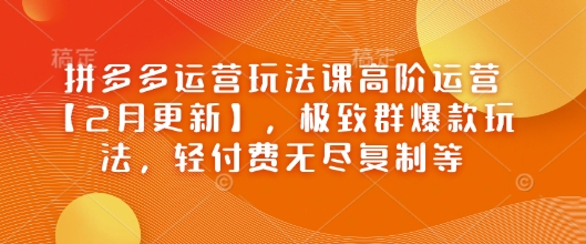 拼多多运营玩法课高阶运营【2月更新】，极致群爆款玩法，轻付费无尽复制等-hcnxn