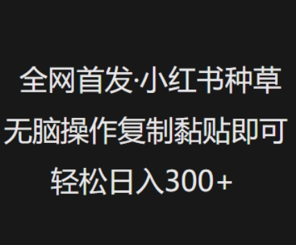全网首发，小红书种草无脑操作，复制黏贴即可，轻松日入3张-hcnxn