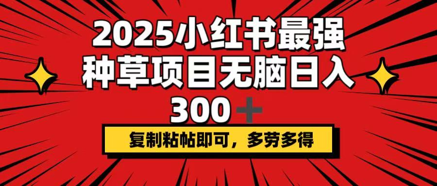 2025小红书最强种草项目，无脑日入300+，复制粘帖即可，多劳多得-hcnxn