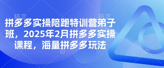 拼多多实操陪跑特训营弟子班，2025年2月拼多多实操课程，海量拼多多玩法-hcnxn