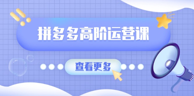 拼多多高阶运营课：极致群爆款玩法，轻付费无尽复制，打造单品爆款之路-hcnxn