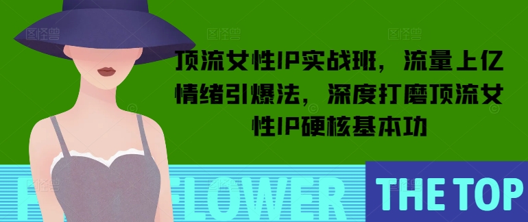 顶流女性IP实战班，流量上亿情绪引爆法，深度打磨顶流女性IP硬核基本功-hcnxn