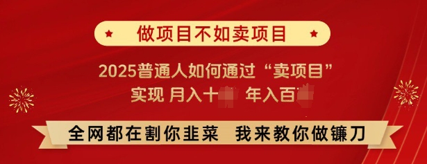 必看，做项目不如卖项目，2025普通人如何通过“卖项目”实现月入十个，年入百个-hcnxn