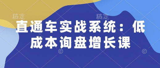 直通车实战系统：低成本询盘增长课，让个人通过技能实现升职加薪，让企业低成本获客，订单源源不断-hcnxn
