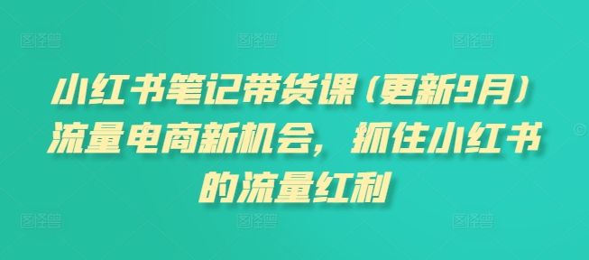 小红书笔记带货课(更新25年1月)流量电商新机会，抓住小红书的流量红利-hcnxn