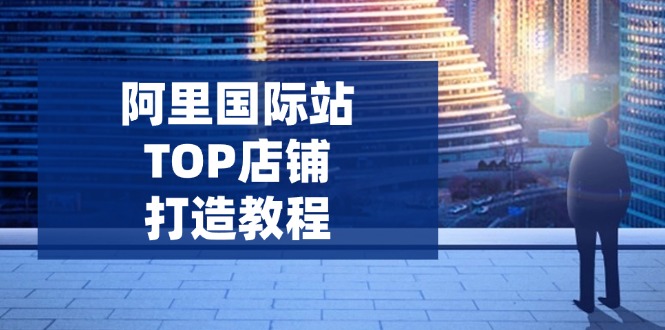 阿里国际站TOP店铺打造教程：涵盖平台到高阶，解决运营难题，提升询盘-hcnxn