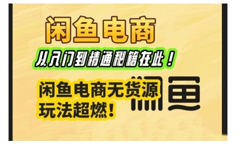 闲鱼电商实战课，从入门到精通秘籍在此，闲鱼电商无货源玩法超燃!-hcnxn
