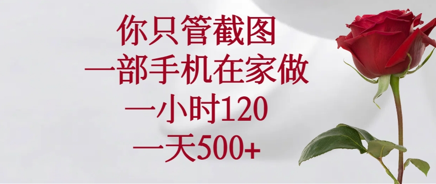你只管截图，一部手机在家做，一小时120，一天500+-hcnxn