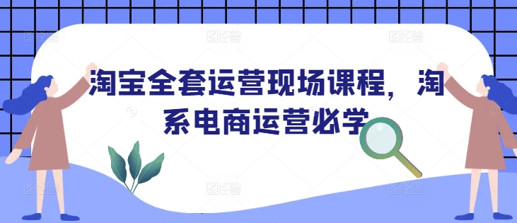 淘宝全套运营现场课程，淘系电商运营必学-hcnxn