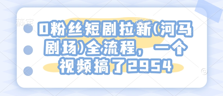 0粉丝短剧拉新(河马剧场)全流程，一个视频搞了2954-hcnxn
