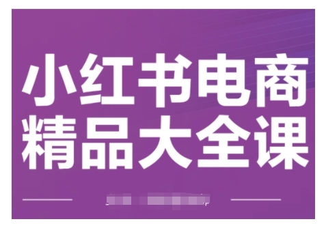小红书电商精品大全课，快速掌握小红书运营技巧，实现精准引流与爆单目标，轻松玩转小红书电商(更新2月)-hcnxn