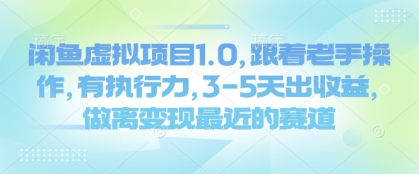 闲鱼虚拟项目1.0，跟着老手操作，有执行力，3-5天出收益，做离变现最近的赛道-hcnxn
