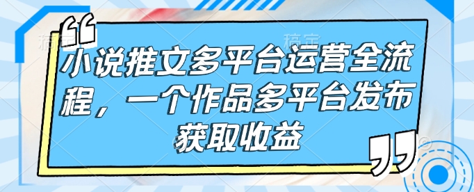 小说推文多平台运营全流程，一个作品多平台发布获取收益-hcnxn